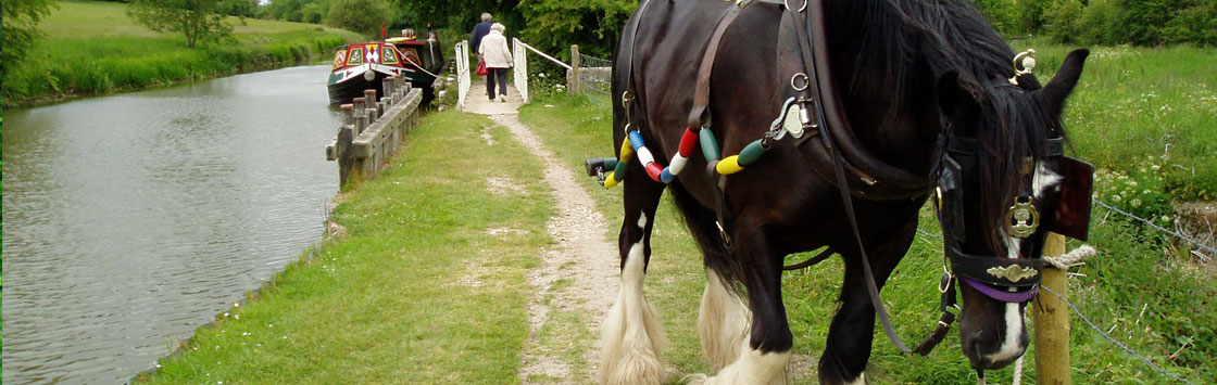 Walk: Newbury History Walk