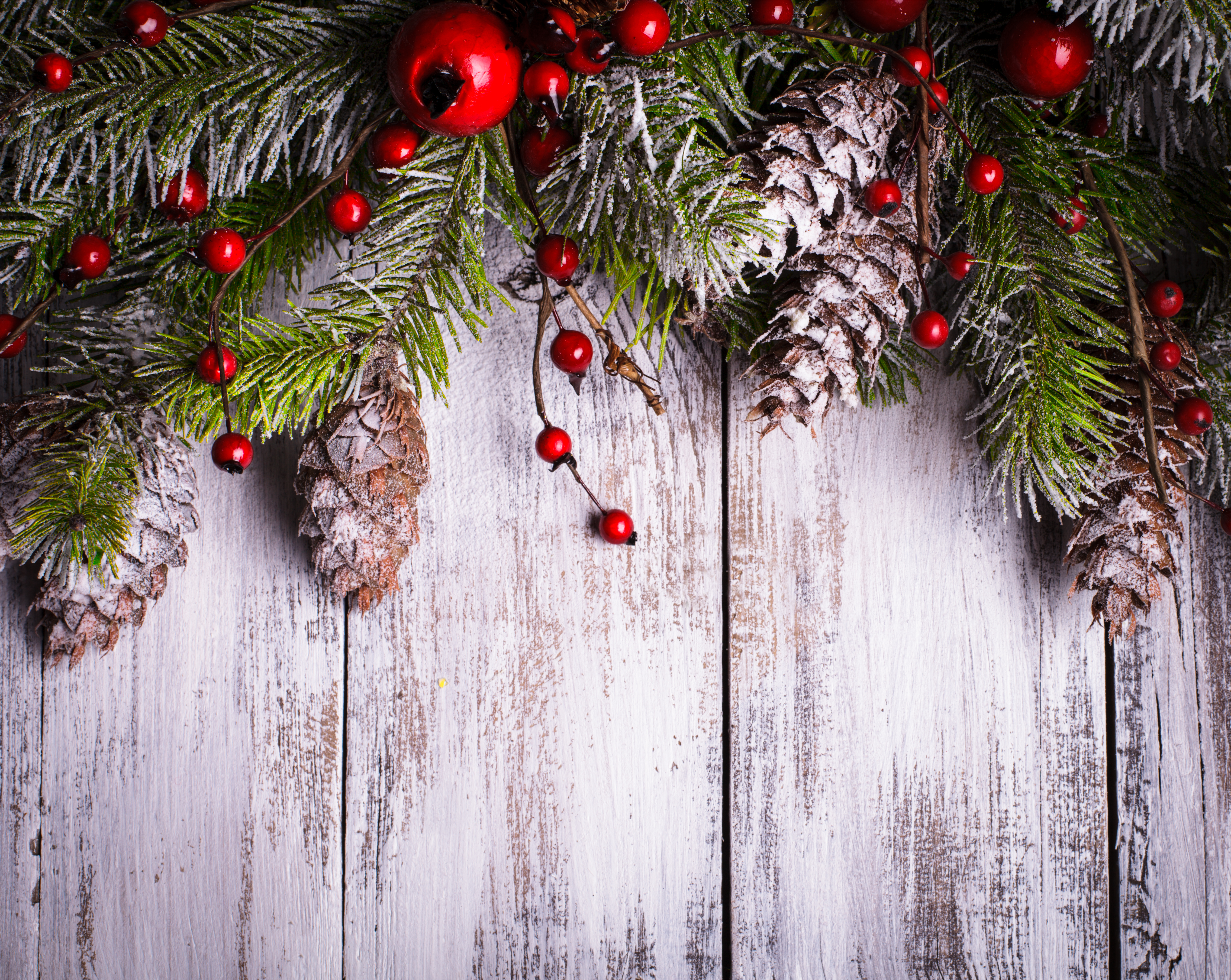 Workshop: Christmas Table Flower Arrangements