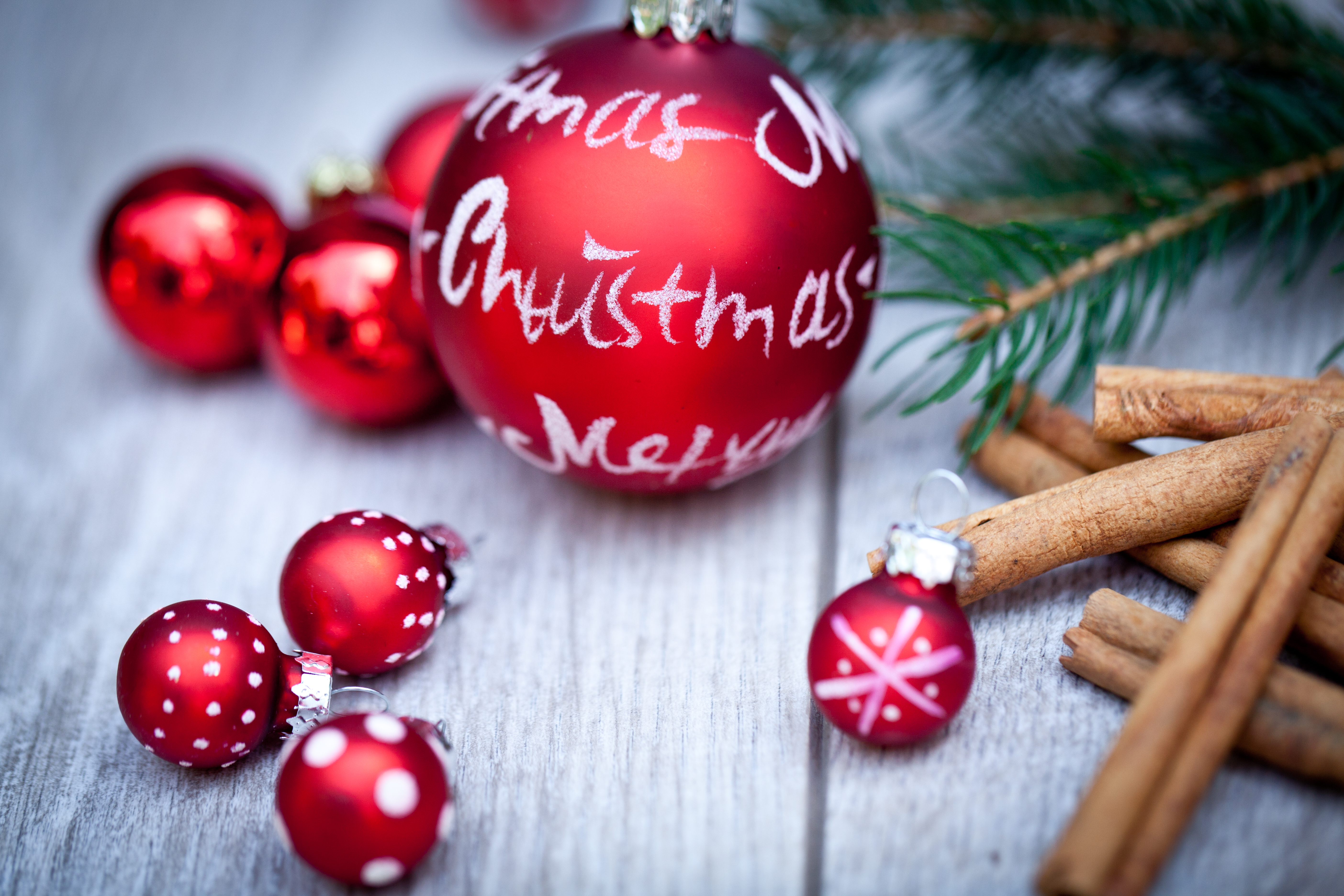 Workshop: Christmas Wreath Making