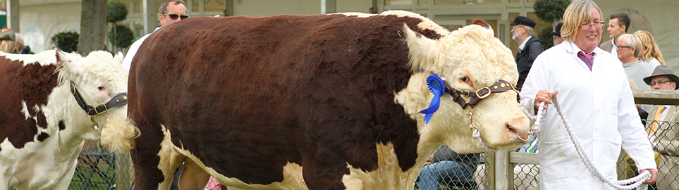 Special Exhibition: Trophies and Tractors