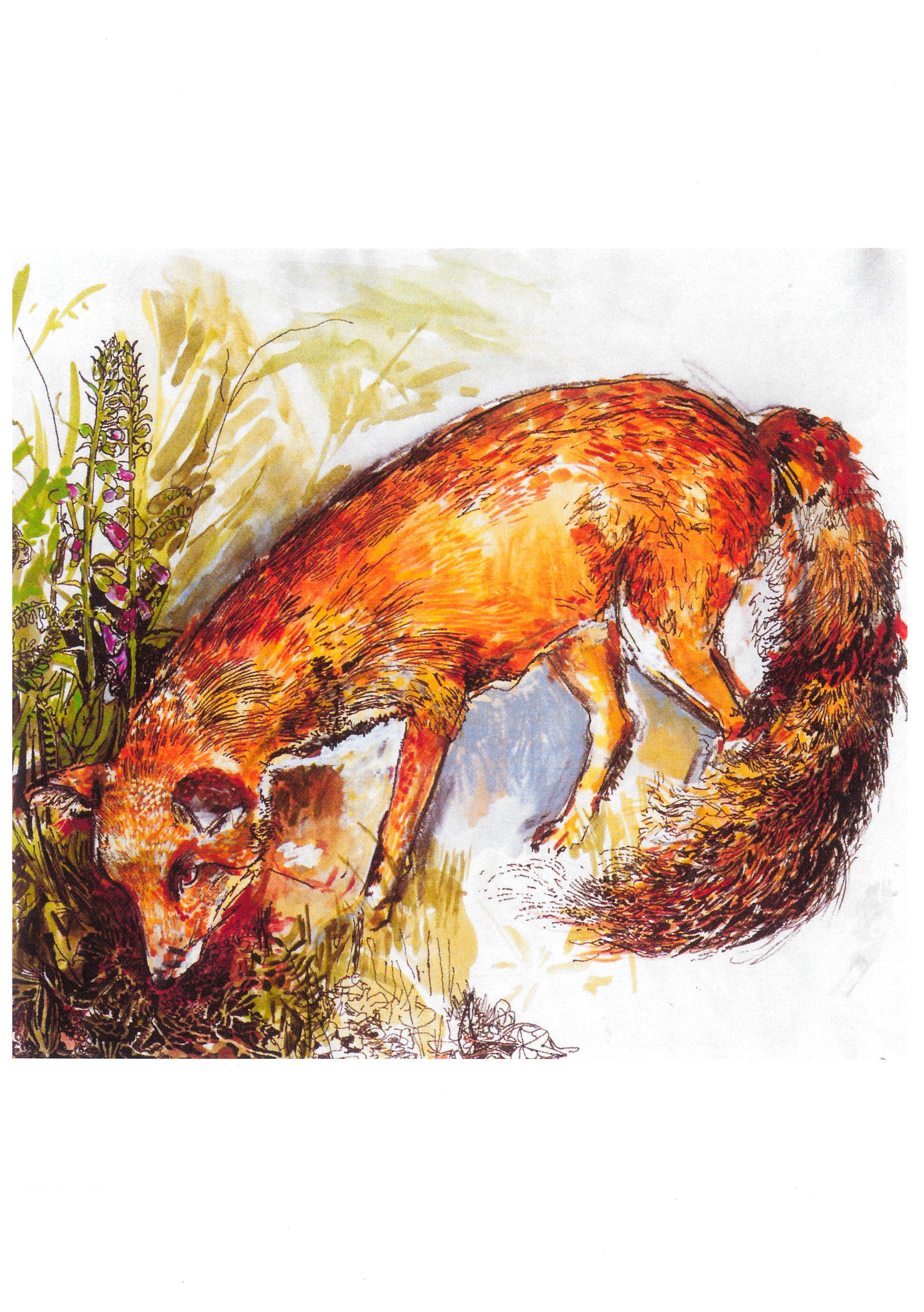 Workshop: Drawing & Painting Animals and Birds