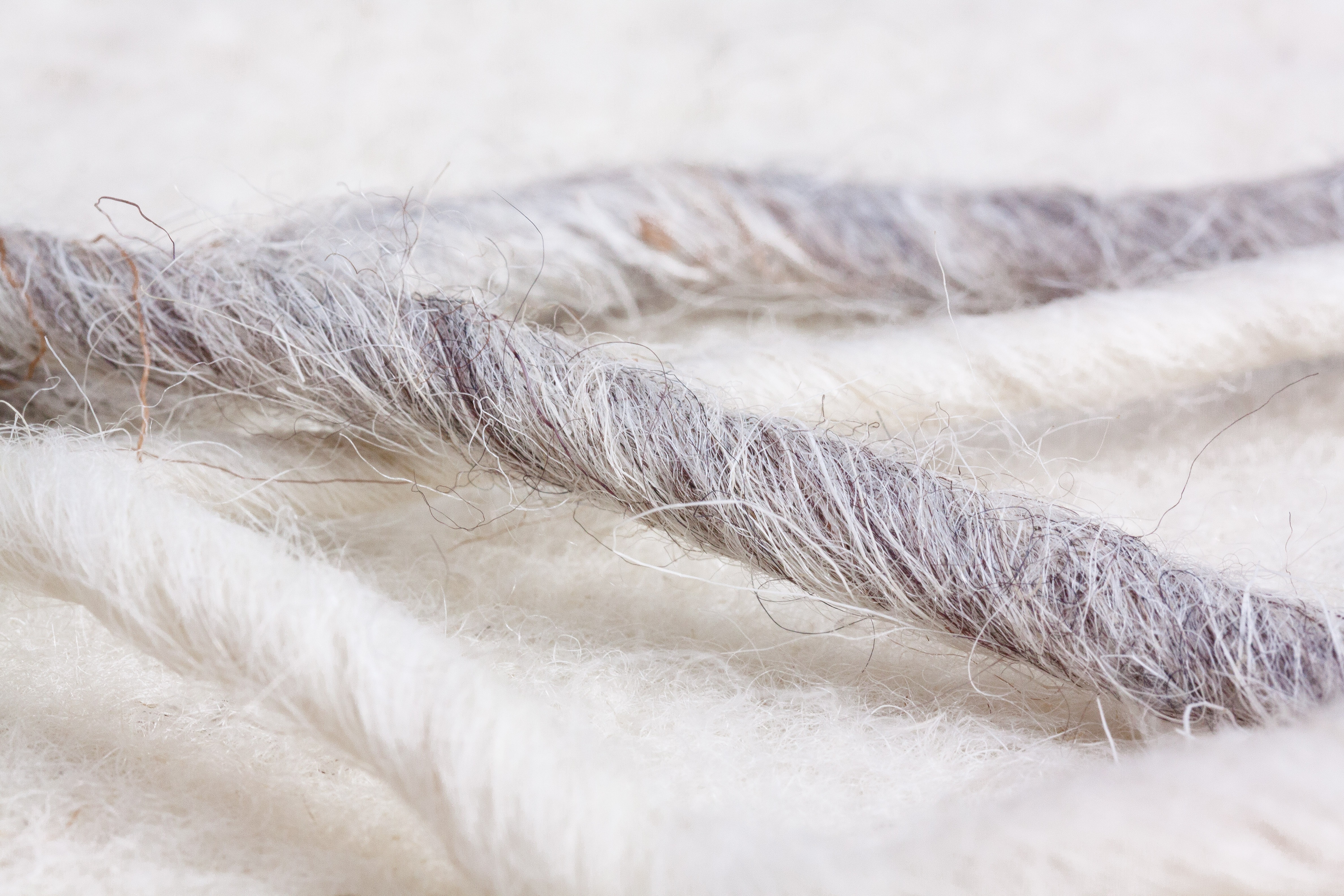 Workshop: Needle Felting