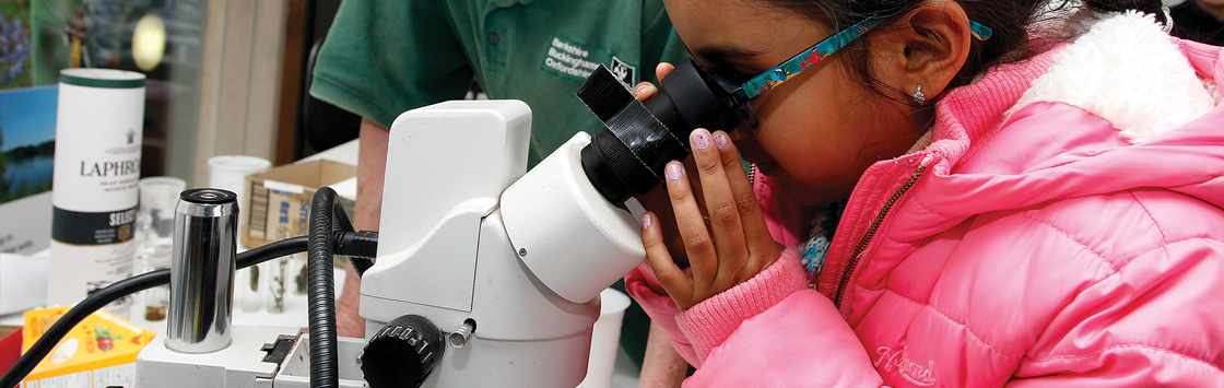 Linking the Landscape: Under the Microscope