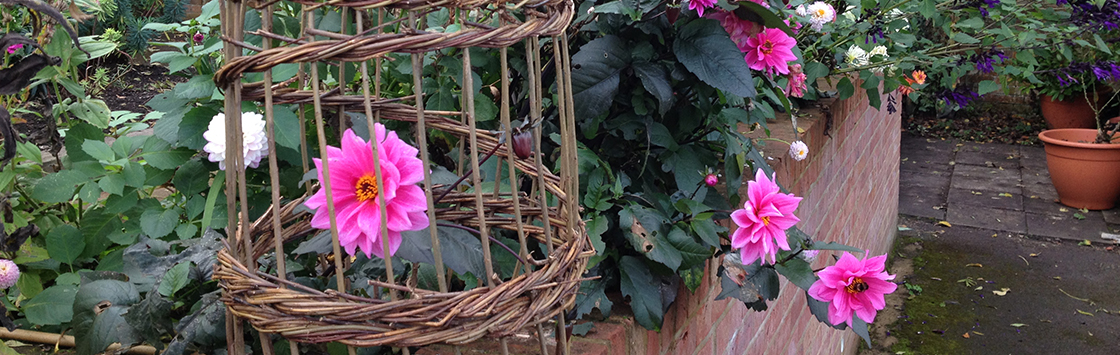 *Sold Out* Workshop: Willow for the Garden