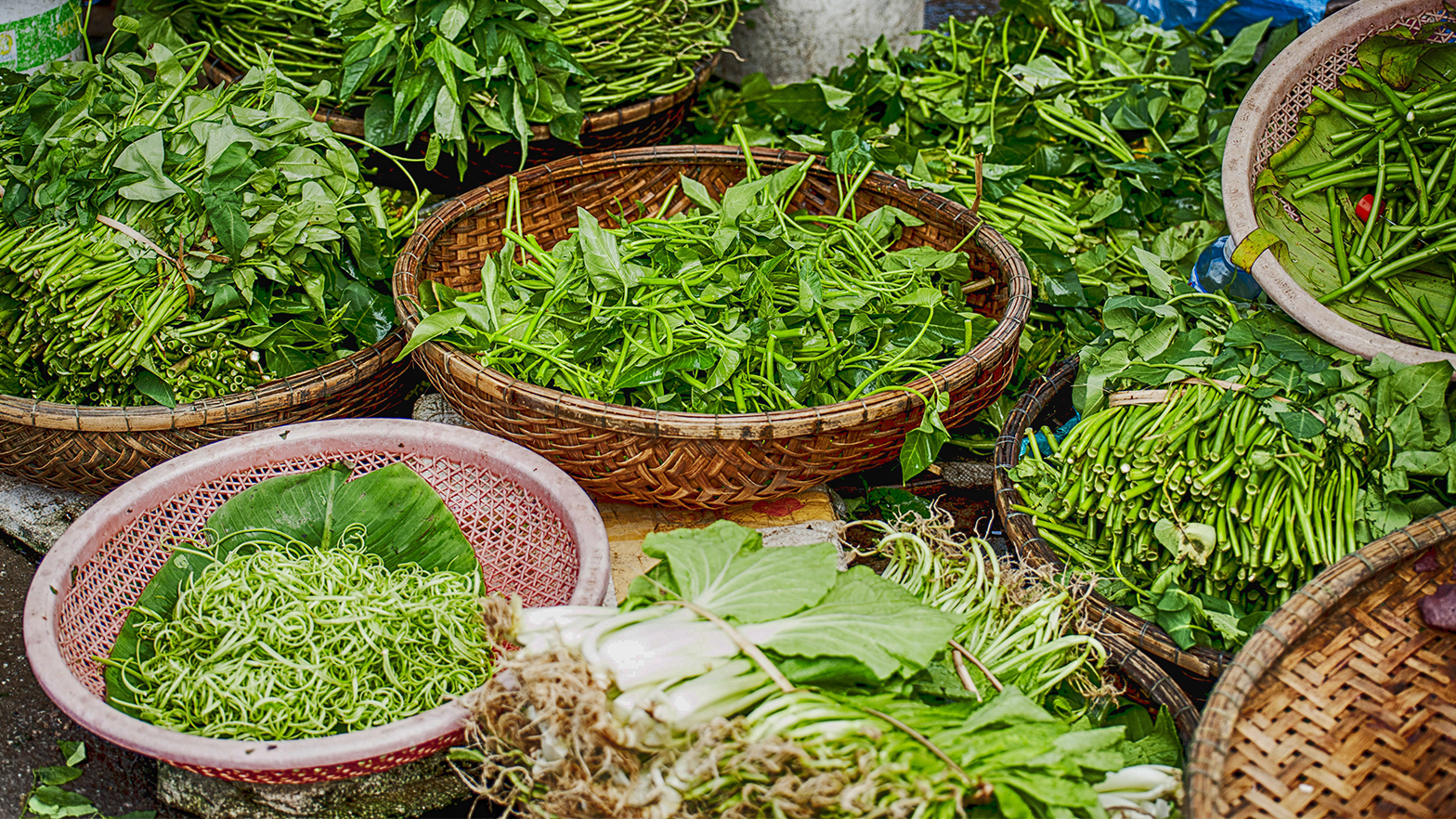 Special Exhibition: Food Stories
