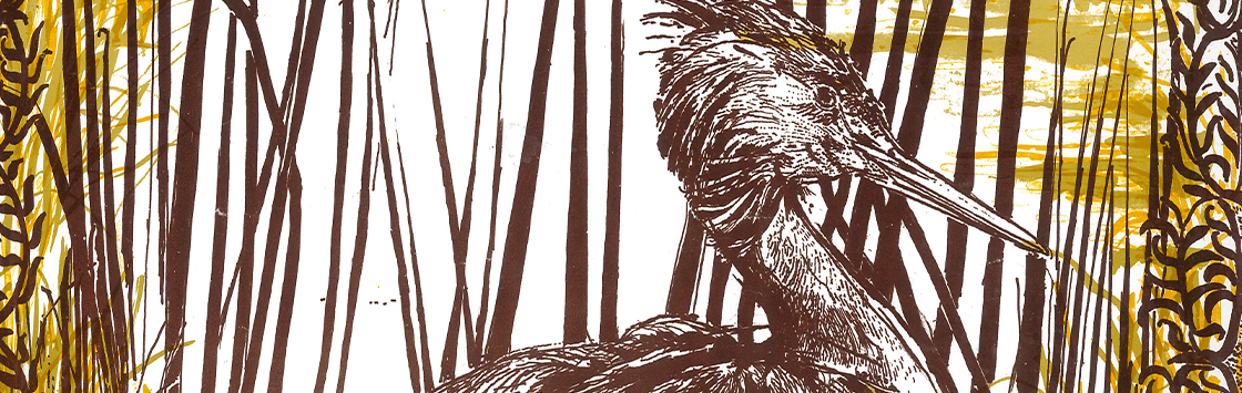 Workshops: Painting Birds