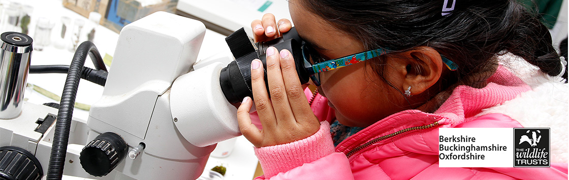 Microscopic Signs of Spring