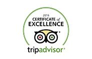 Trip Advisor Logo